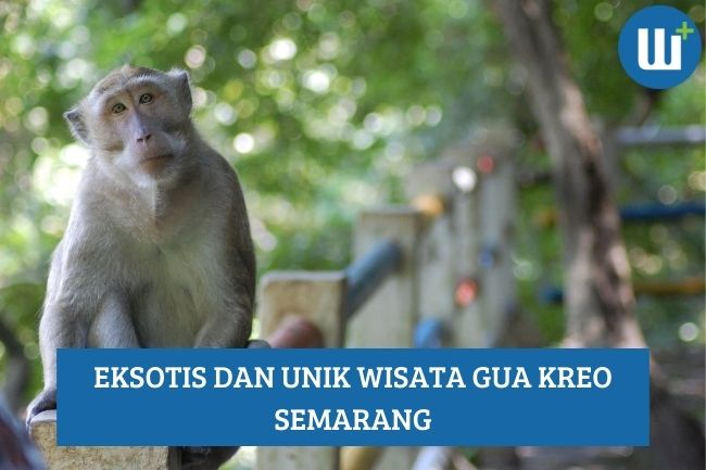 Eksotis dan Unik Wisata Gua Kreo di Semarang